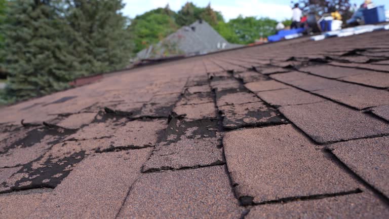 Best Green or Eco-Friendly Roofing Solutions  in Bermuda Run, NC
